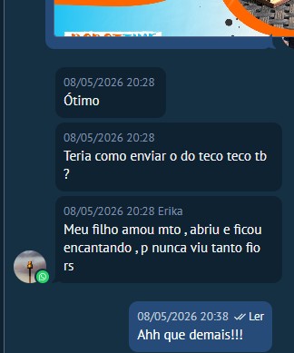 Depoimento de Erika, mãe de assinante, enviado por mensagem